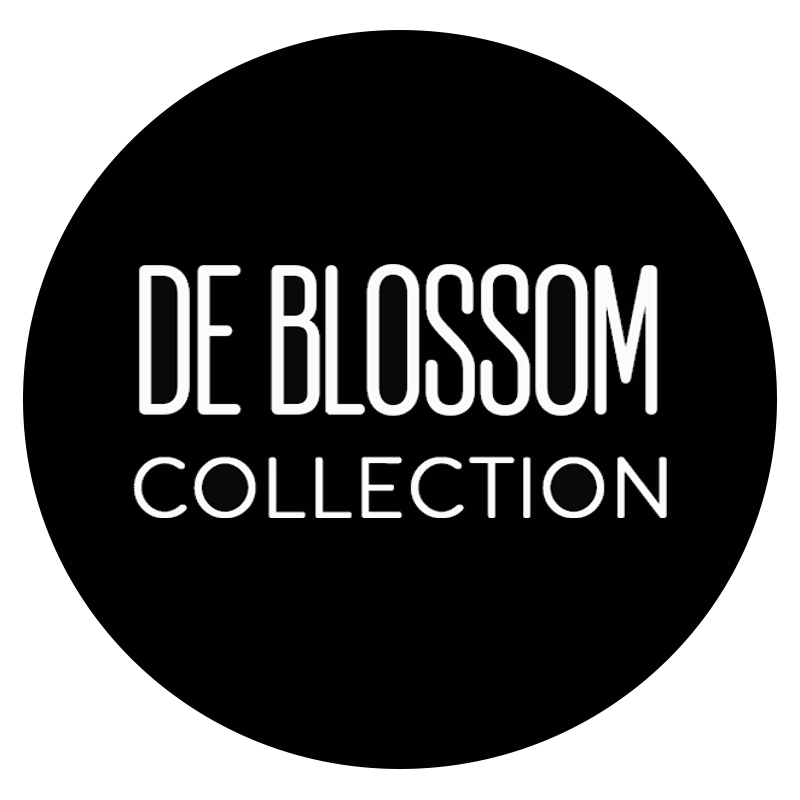 Blossom Footwear Wholesale Logo